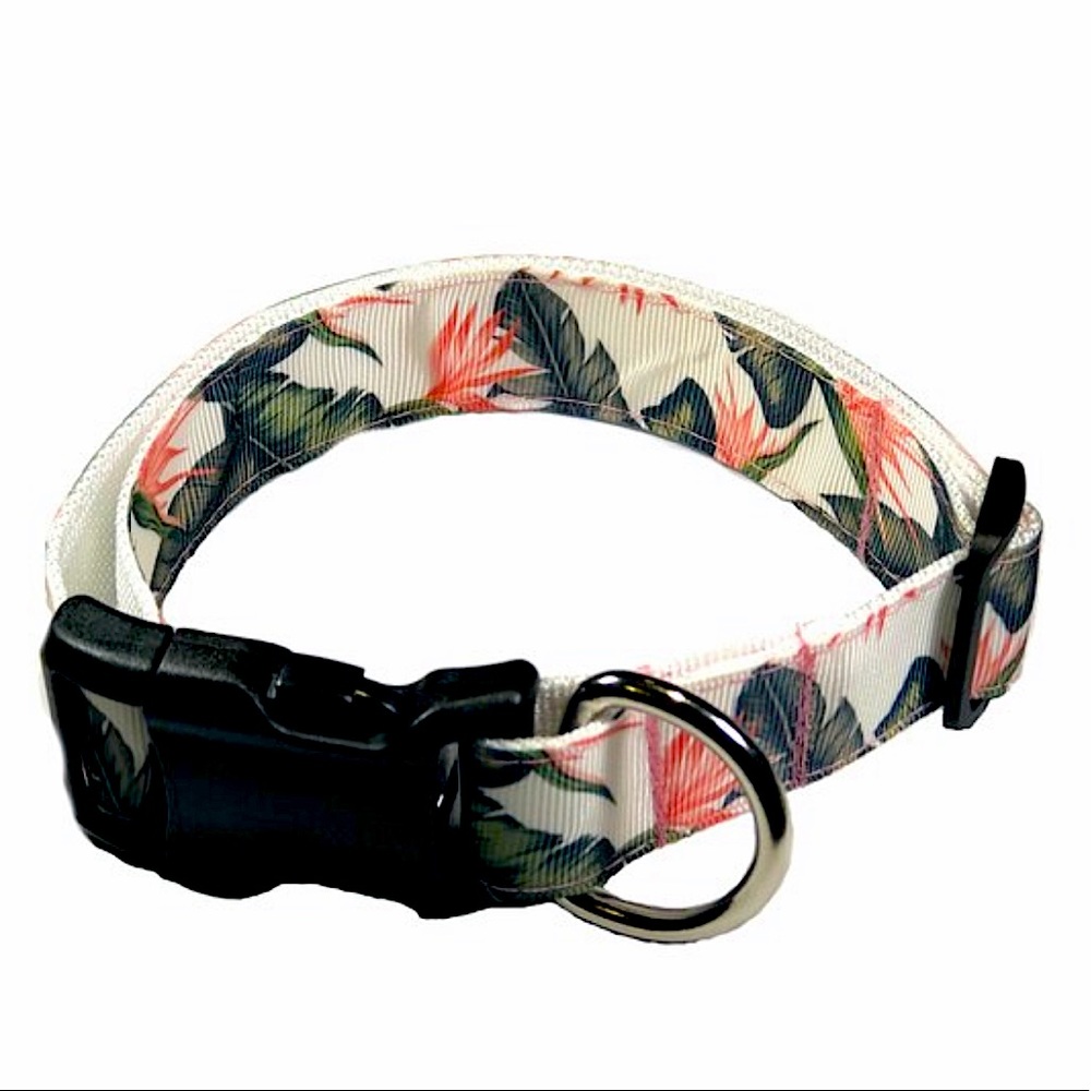 Floral Dog Collar